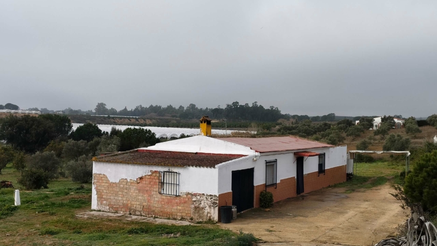 REGULARIZACION CATASTRAL DE UNA FINCA RUSTICA EN GIBRALEON