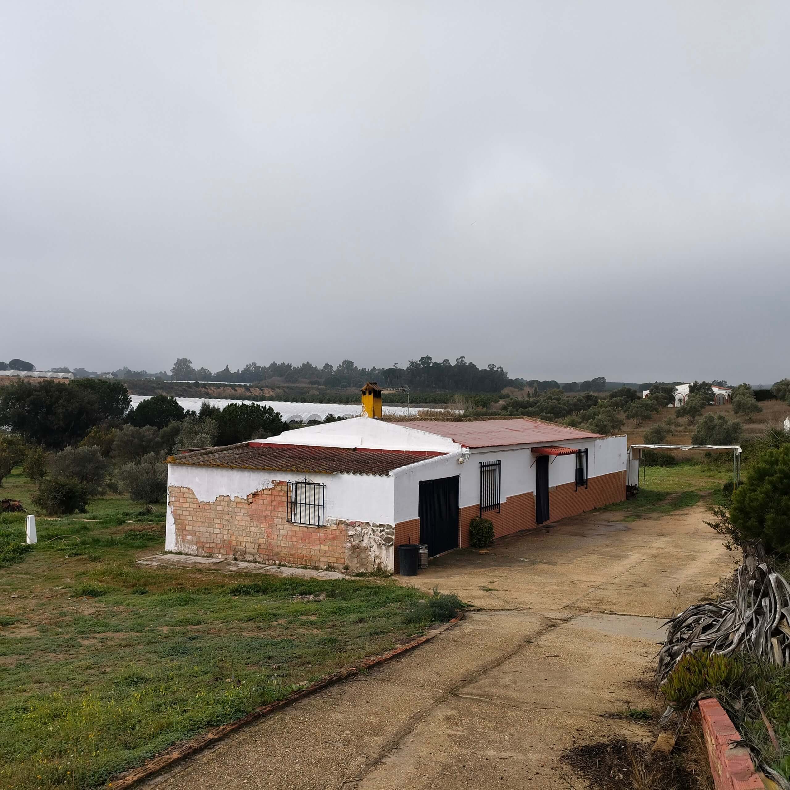 REGULARIZACION CATASTRAL DE UNA FINCA RUSTICA EN GIBRALEON