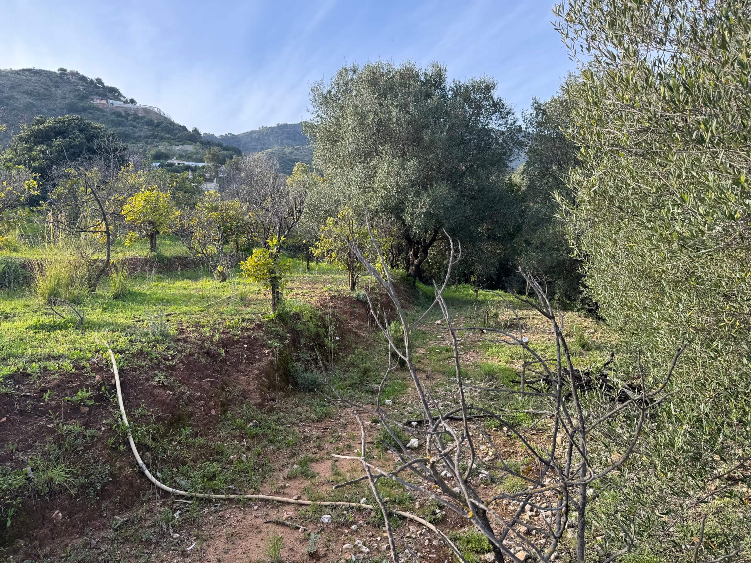 VALORACION PATRIMONIAL DE UNA FINCA RUSTICA EN LA SIERRA DE ARACENA